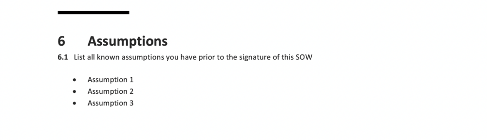 An example of the Assumptions section from the free TBW SOW Template